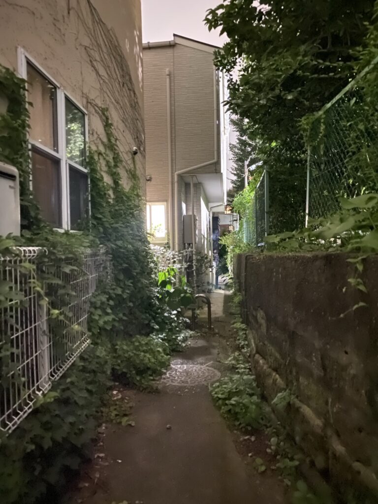 元麻布二丁目の窪地に延びる細い路地
