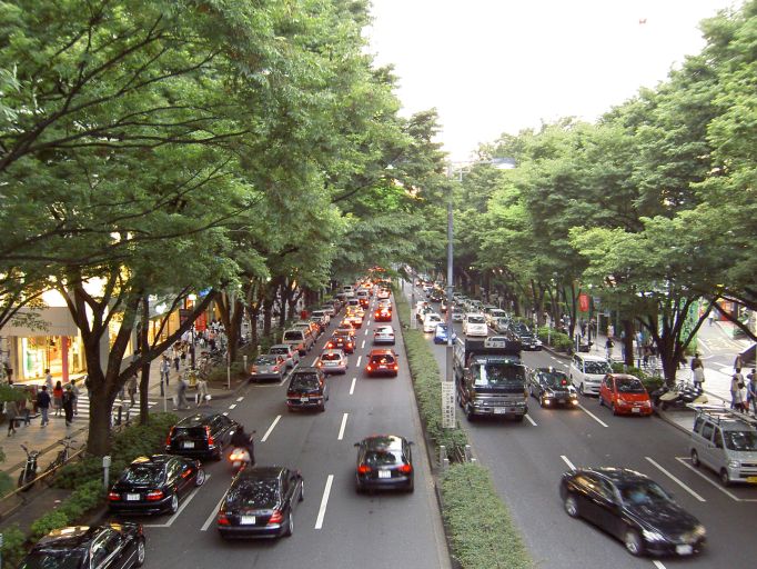 ケヤキ並木と建物が続く東京・表参道の街路景観