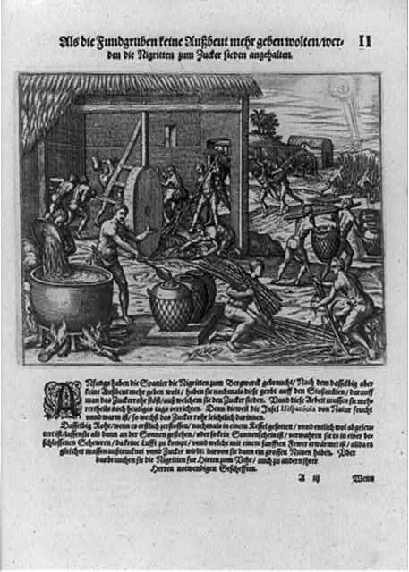 1590年の版画に描かれたイスパニョーラ島の製糖所と奴隷労働