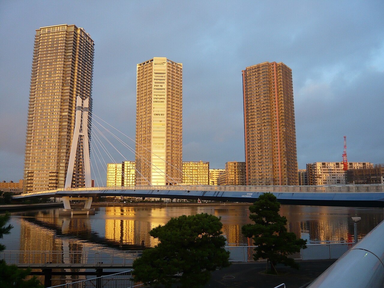 辰巳と東雲を結ぶ辰巳桜橋と東雲の超高層マンション群