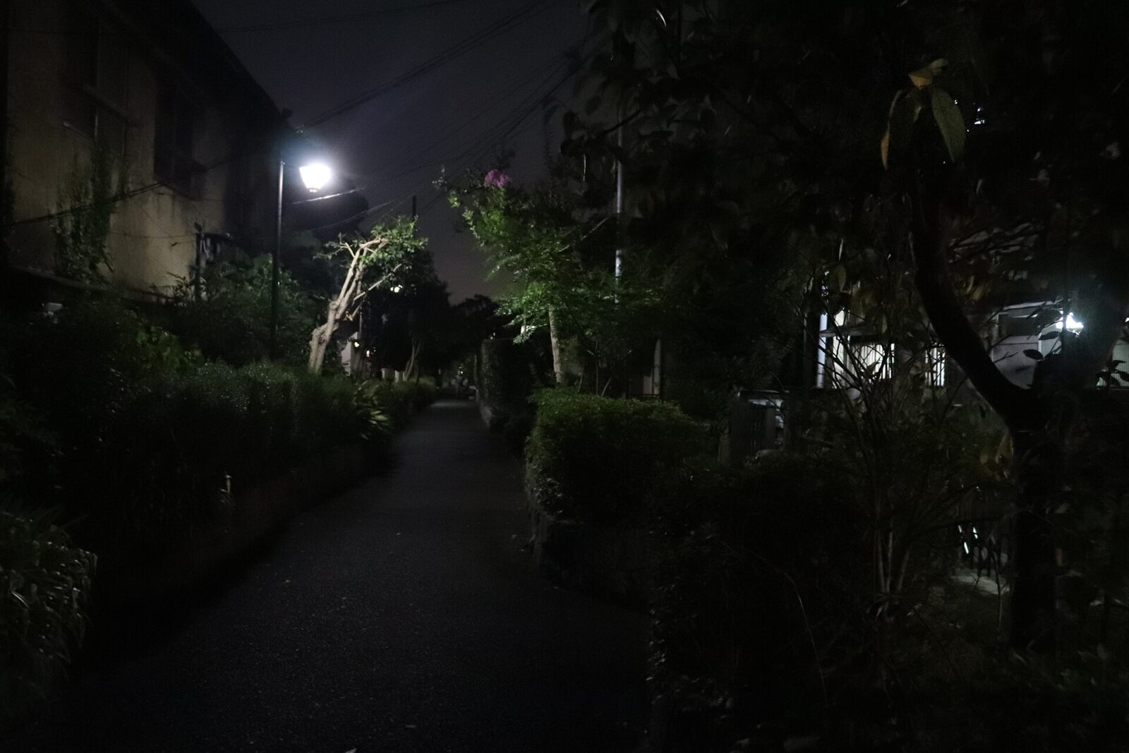旧桃園川の暗渠上に整備された桃園川緑道