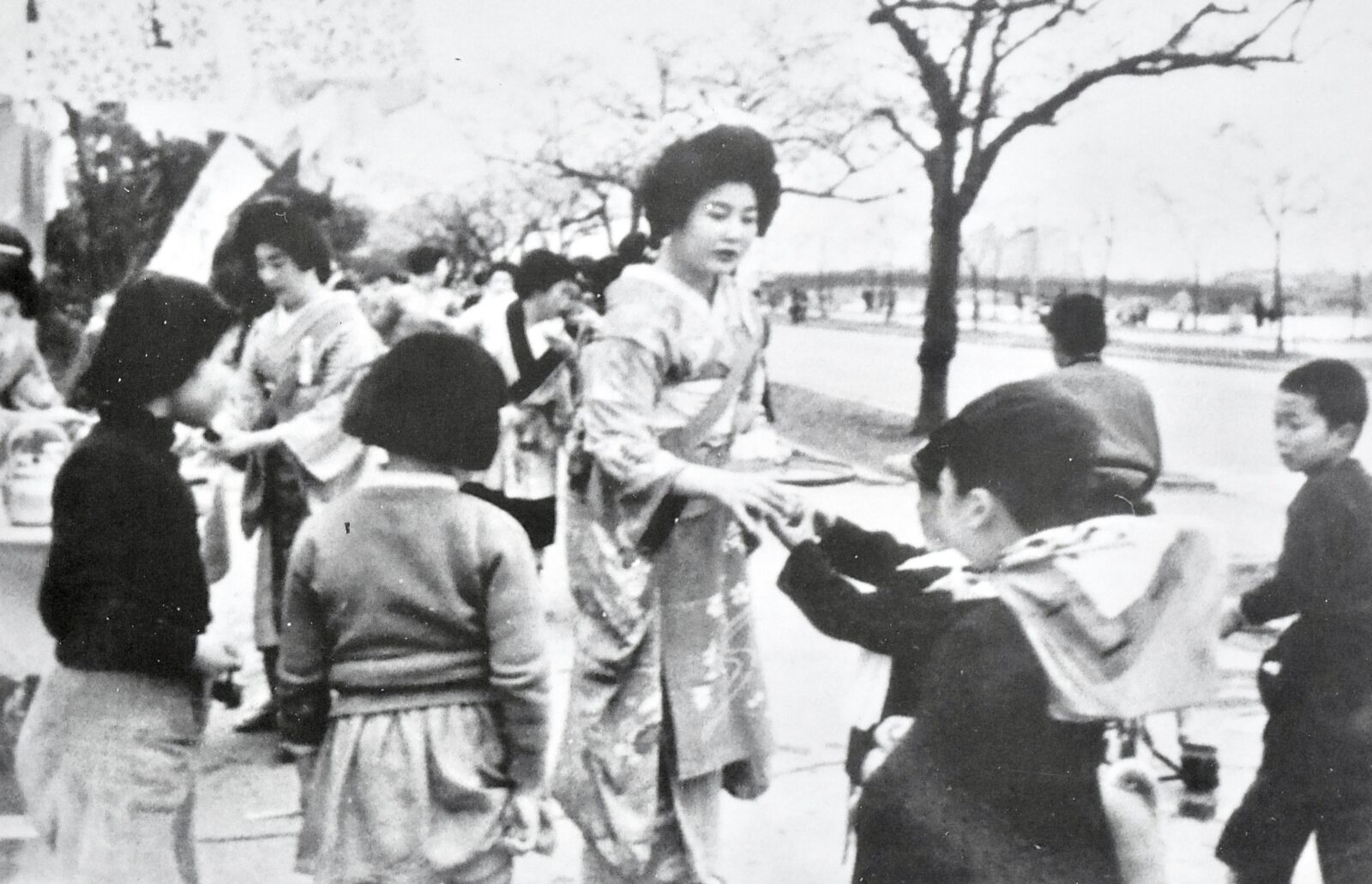1954年に花見客へ茶を振る舞う向島の芸者たち