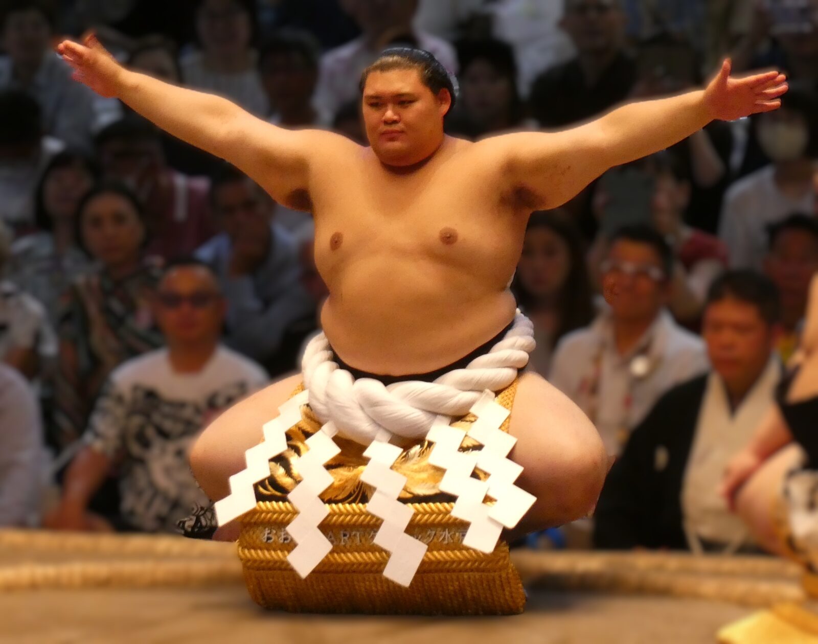 わんぱく相撲全国大会出場経験を持つ横綱・大の里
