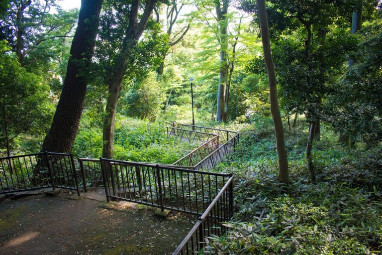 約1600年前の古墳から二子玉川へ|上野毛・瀬田 歴史と崖線ウォーク予習ガイド