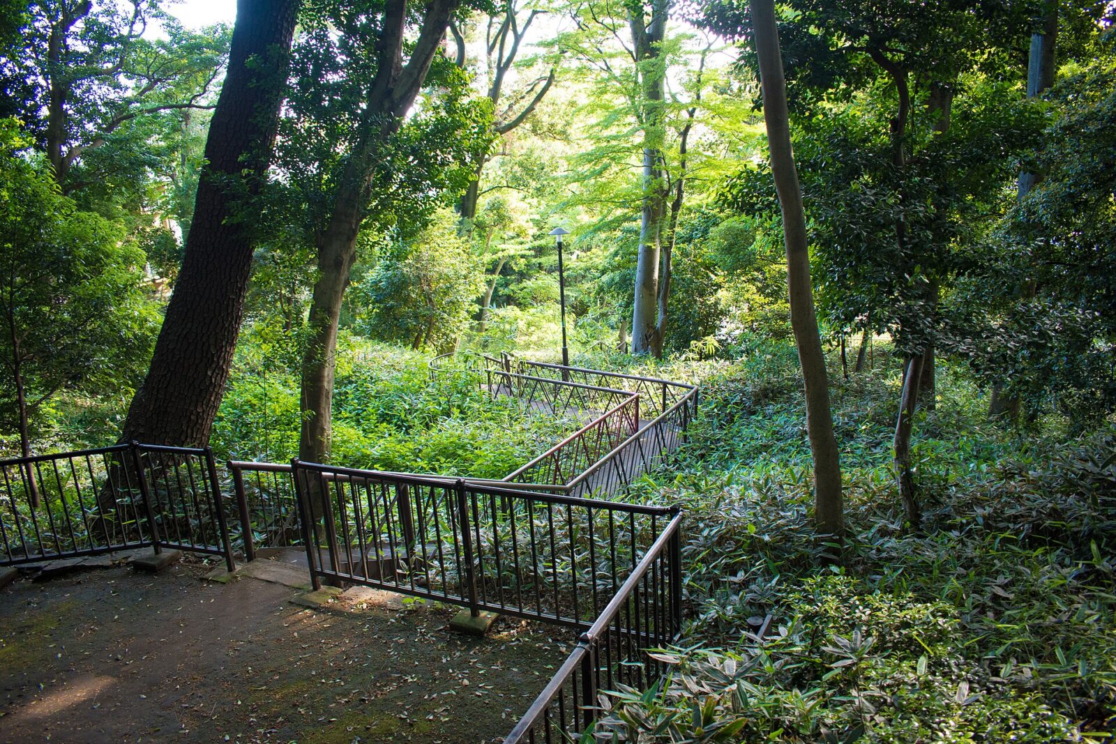 国分寺崖線の環境が残る世田谷区立上野毛自然公園