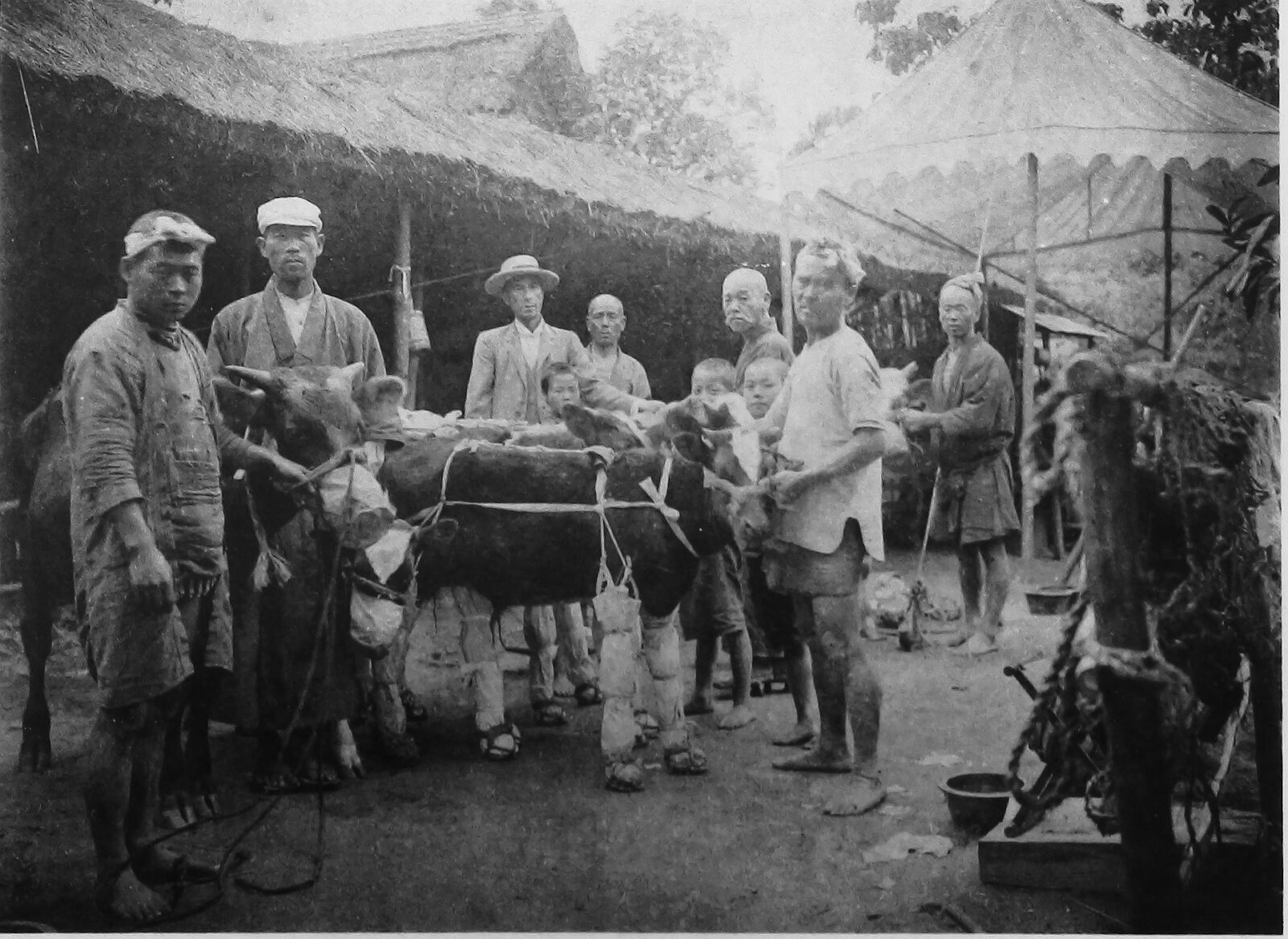 1909年に行われた日本住血吸虫の感染経路実験