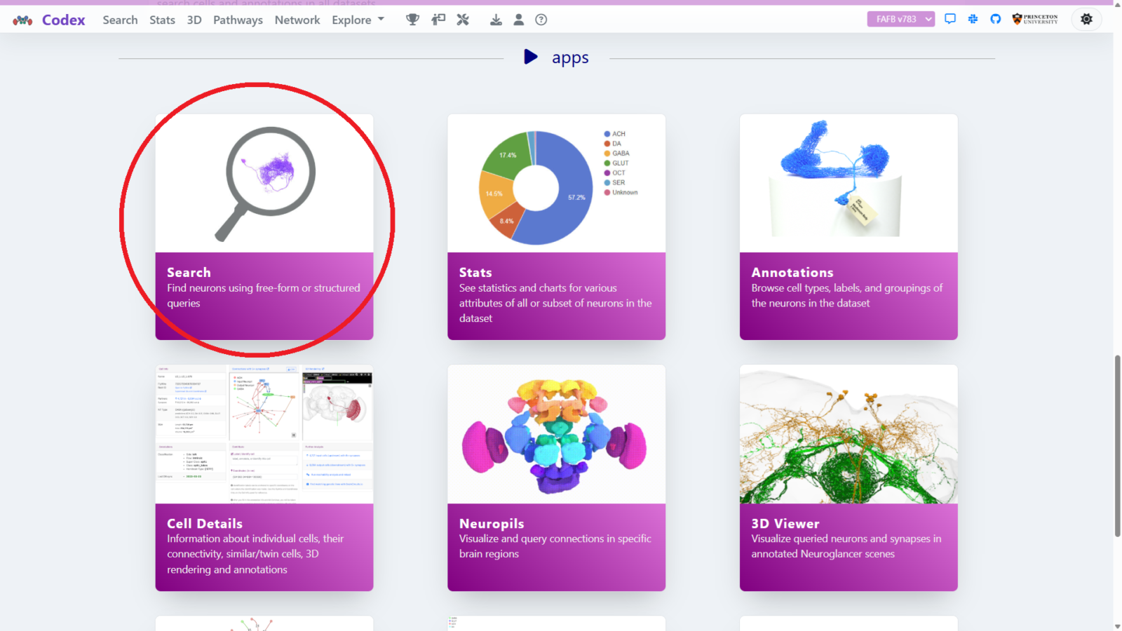 FlyWire CodexトップページのSearchカードを赤丸で示した画面