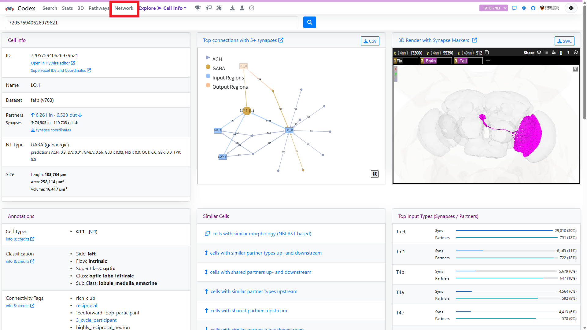 FlyWire CodexのCell Info画面でNetworkメニューを赤枠で示した画面