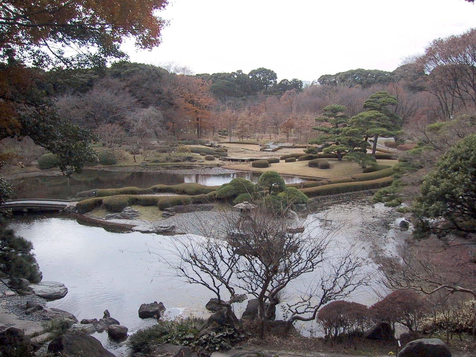 皇居東御苑の二の丸庭園