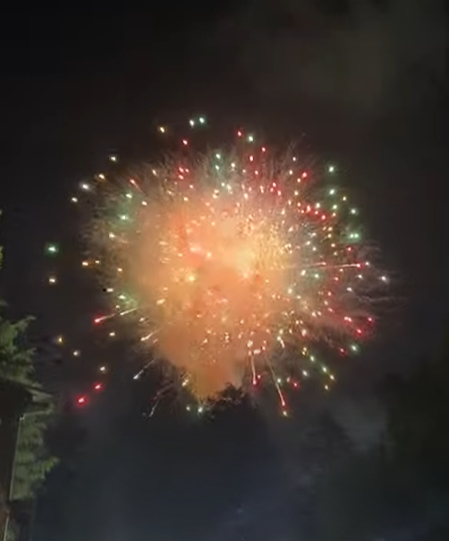 2025年神宮外苑花火大会を現地スタッフに案内された場所から見た打ち上げ花火
