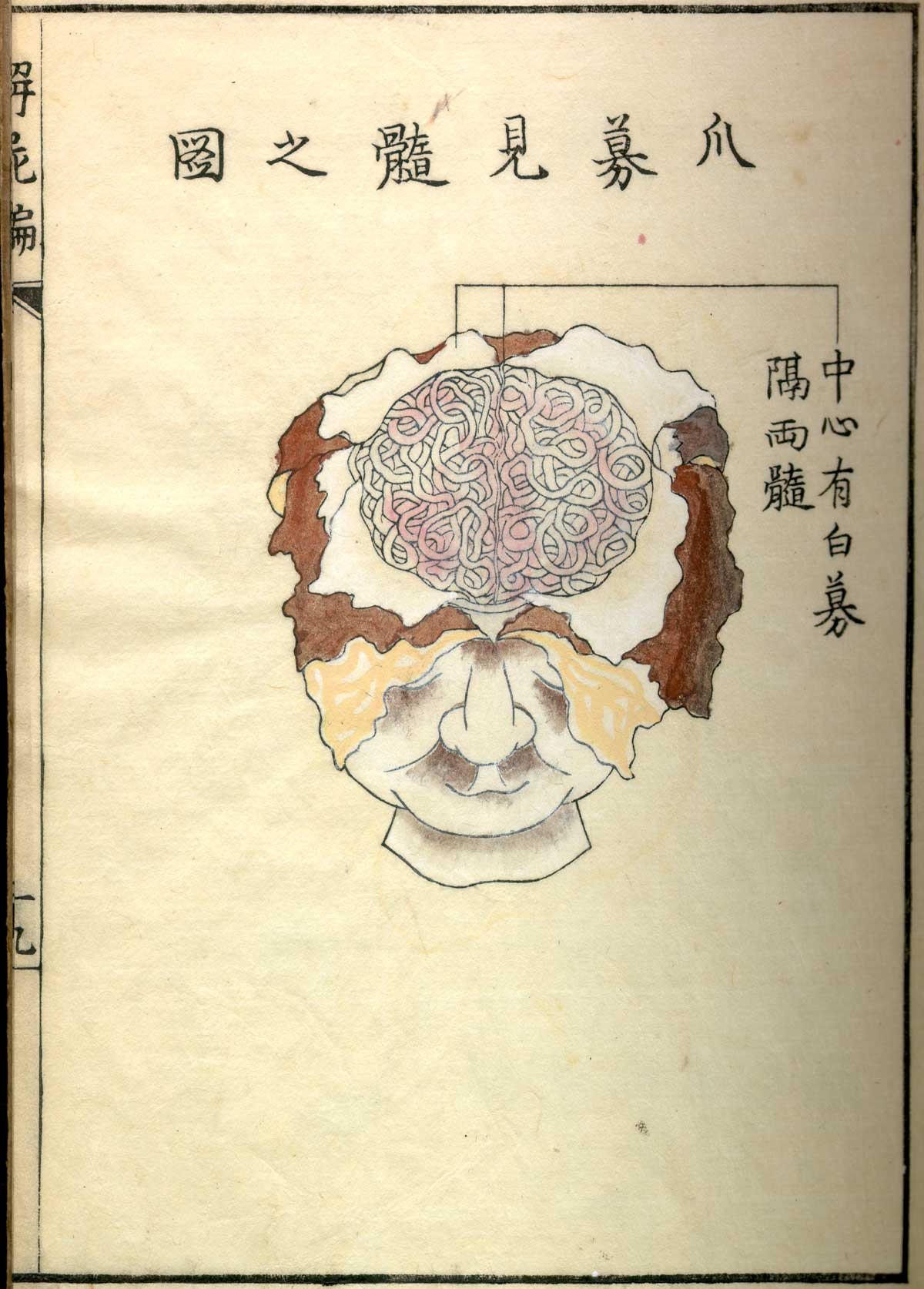 河口信任の解剖書『解屍編』に収められた人体解剖図