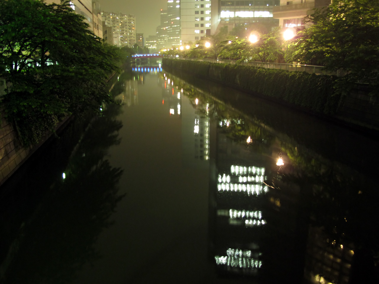 大崎駅近くの橋から見た夜の目黒川と水面の光