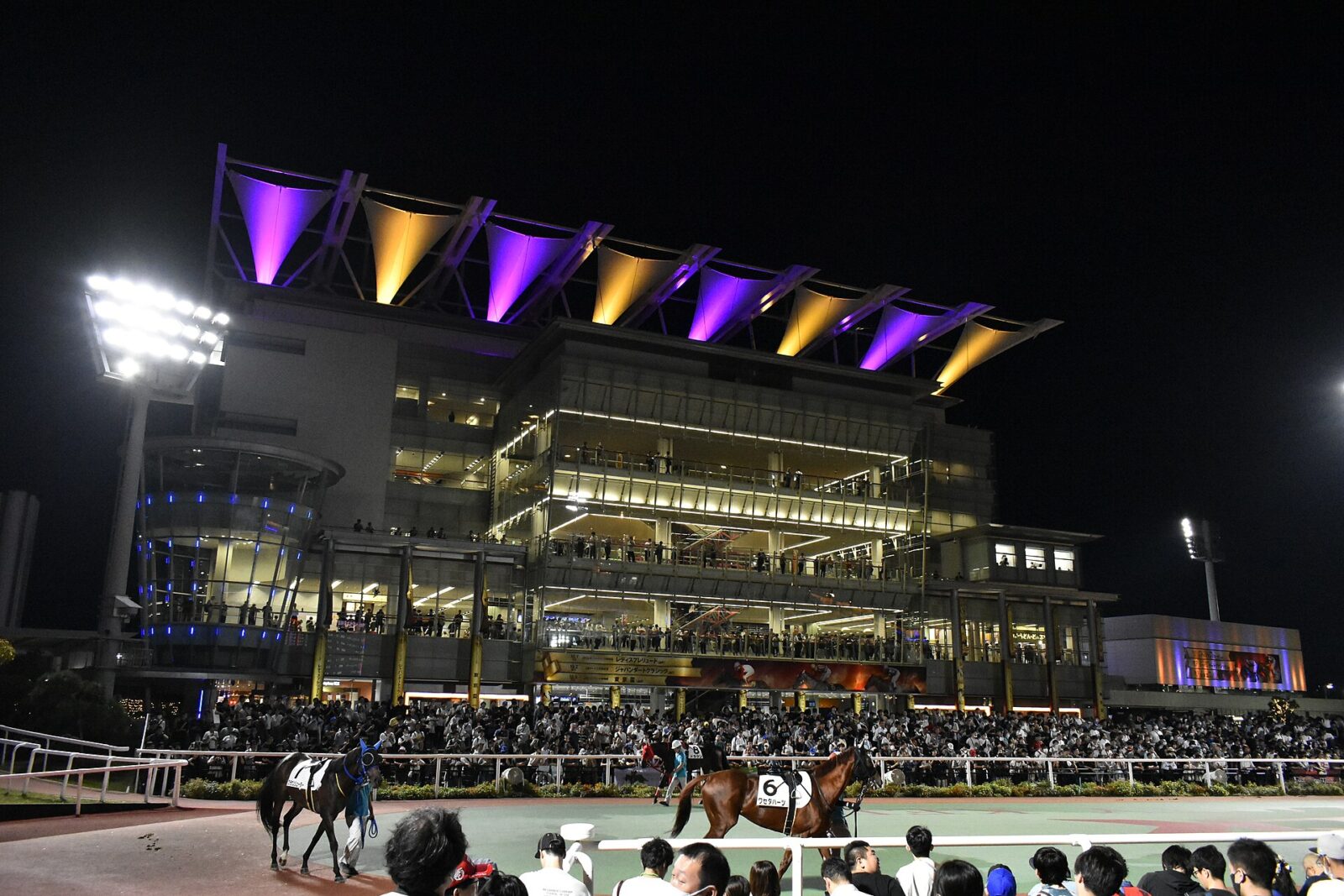 夜の大井競馬場パドックを周回する競走馬と観客席