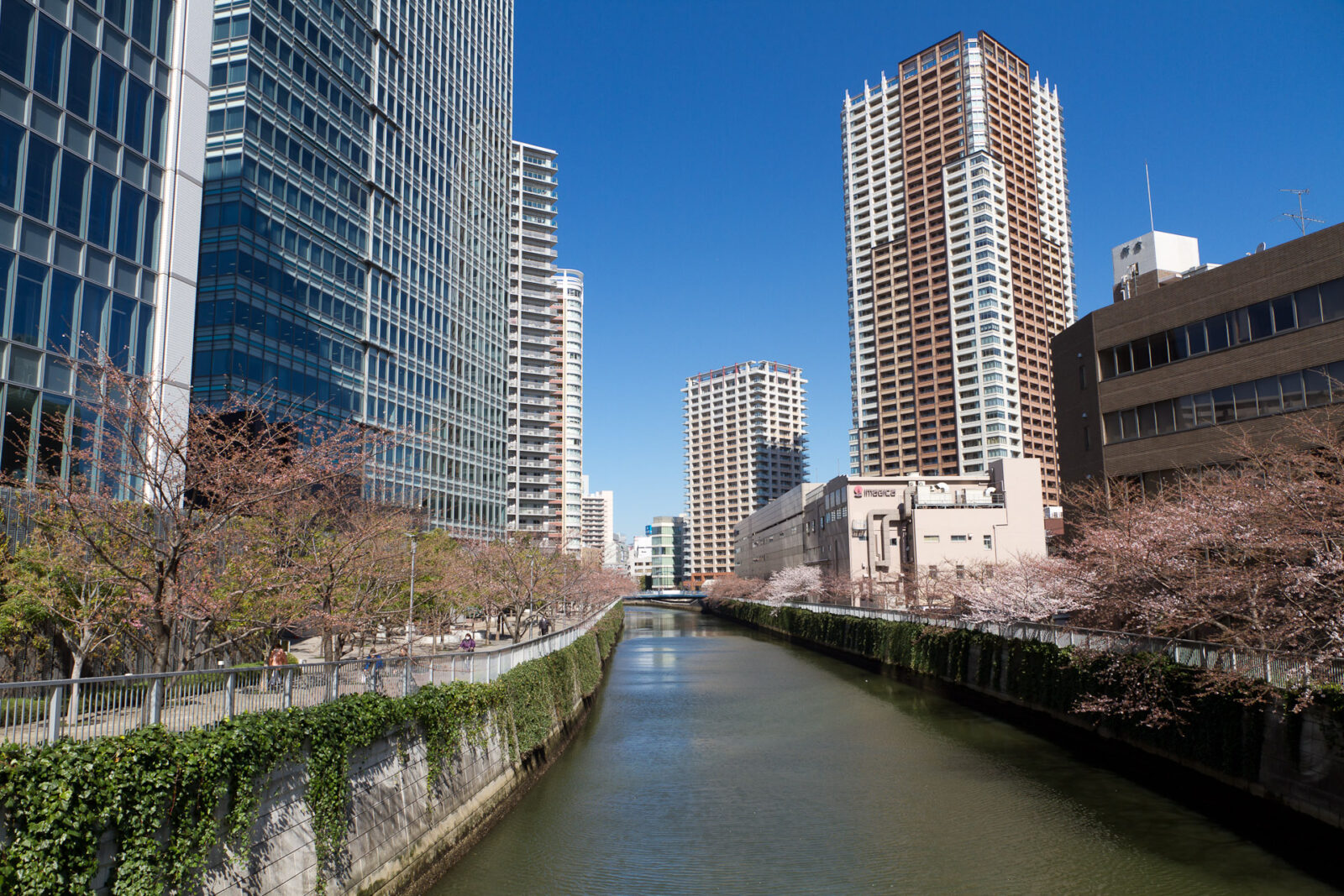 御成橋から上流方向に見た大崎と東五反田の目黒川