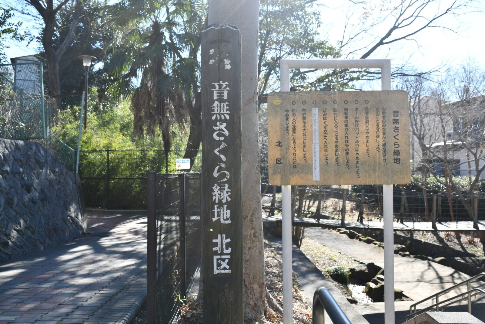 王子本町の音無さくら緑地と石神井川沿いの景観