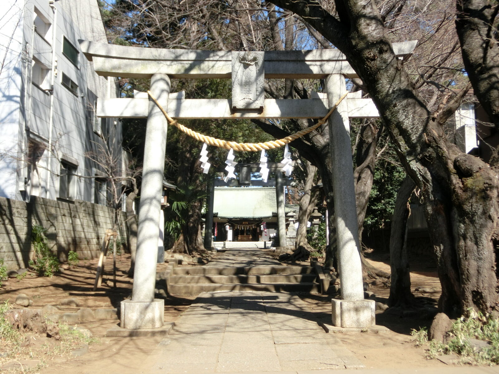 下高井戸浜田山八幡神社の鳥居と参道