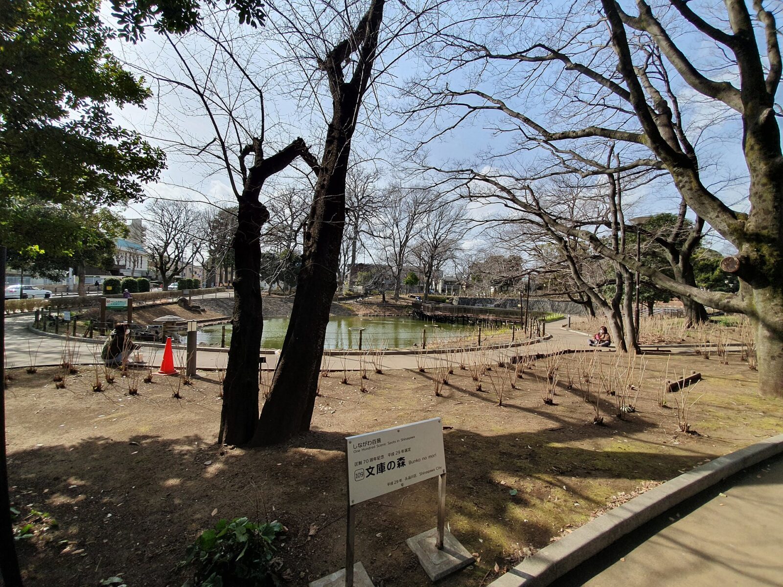 品川区の文庫の森に広がる園路と緑地