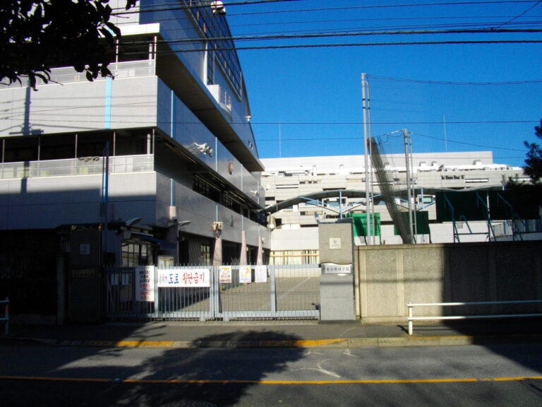 東京韓国学校とは?歴史・教育と文化祭を初心者向けに解説