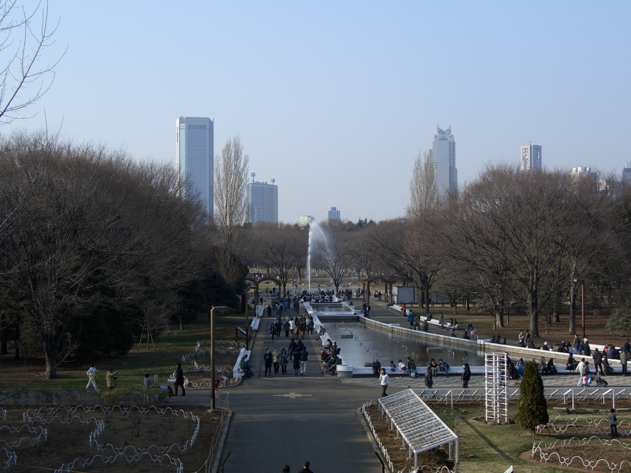 代々木公園の園内