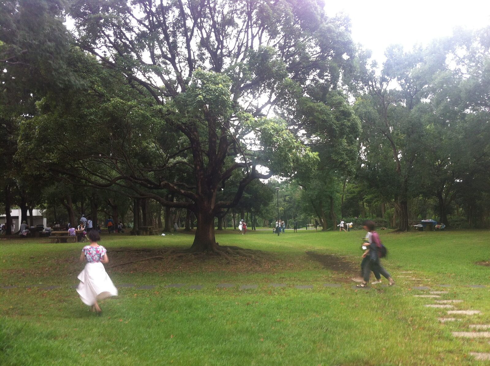 現在の東京都江東区夢の島公園