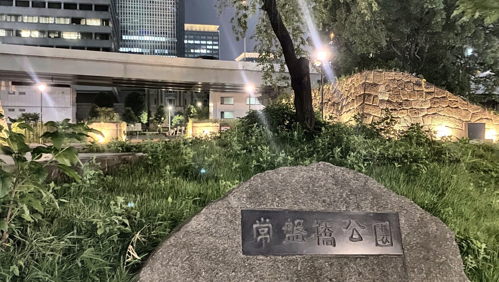 夜の常盤橋公園を歩く歴史散歩の参加者