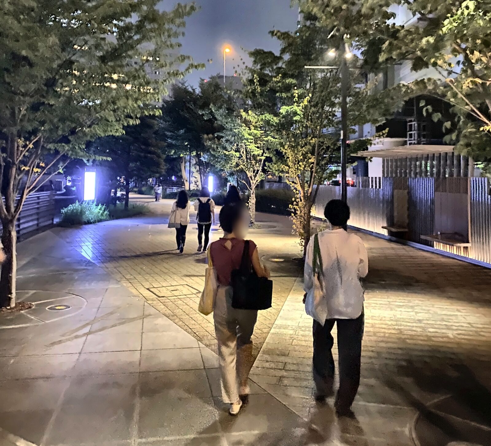 夜の大手町川端緑道を歩く参加者