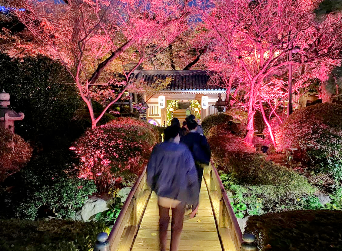 プリンスホテル高輪の日本庭園を歩く参加者と紅葉ライトアップ