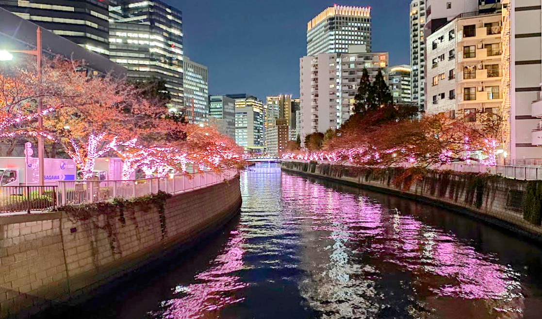 目黒川沿いのイルミネーションと大崎の夜景