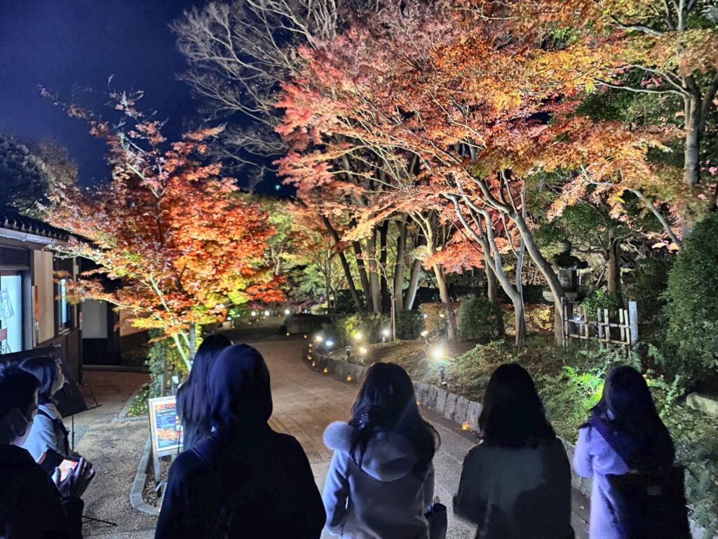 池田山公園の紅葉ライトアップと園路を歩く参加者
