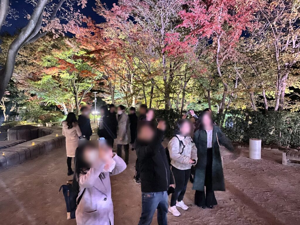 池田山公園のライトアップされた木々と散策中の参加者