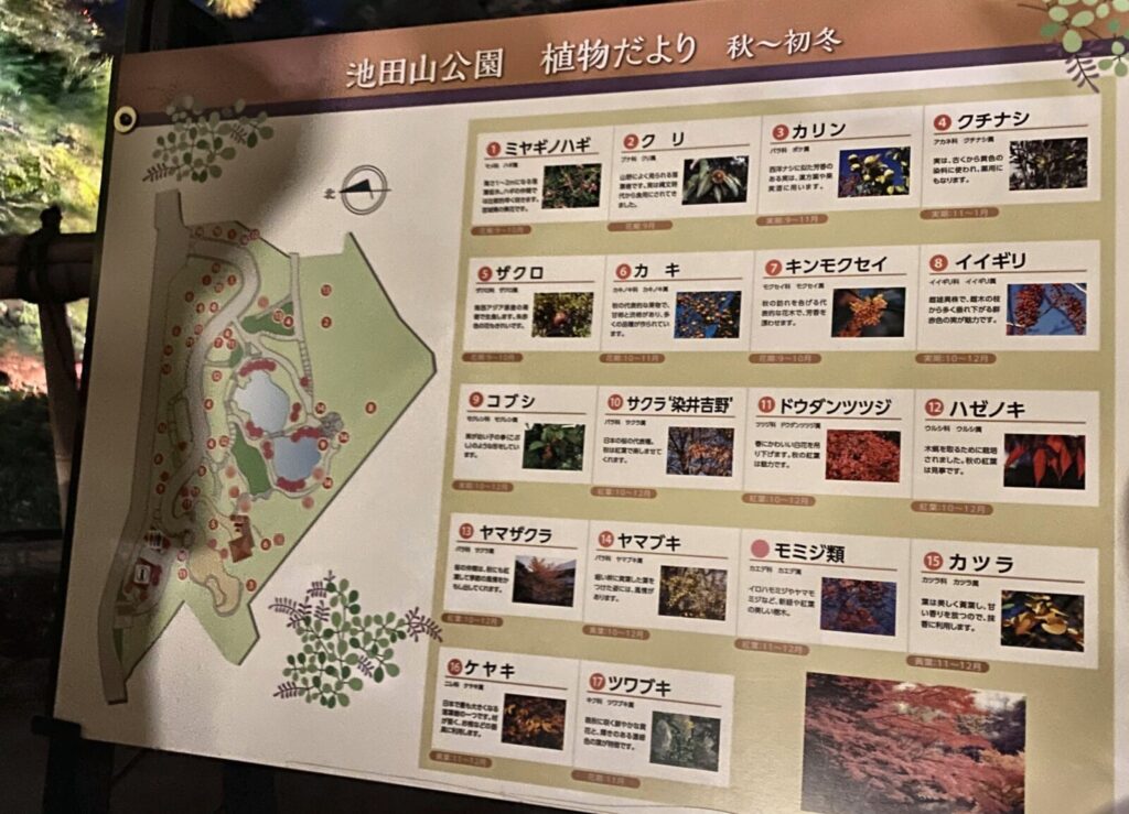 池田山公園の植物だより秋から初冬の案内板