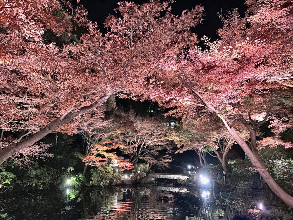 池田山公園の池に映る紅葉ライトアップ