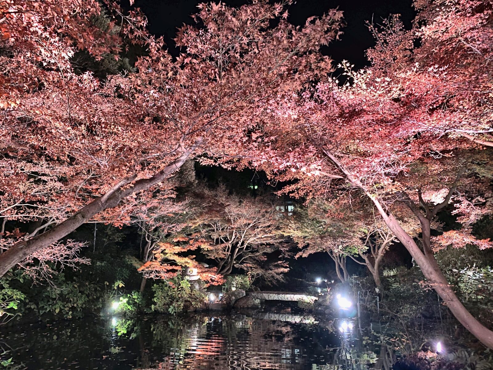 池田山公園の池に映る紅葉ライトアップ