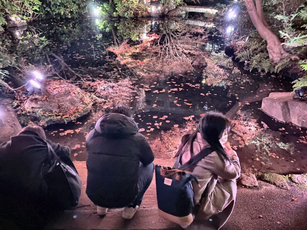 池田山公園の池と紅葉ライトアップを眺める参加者