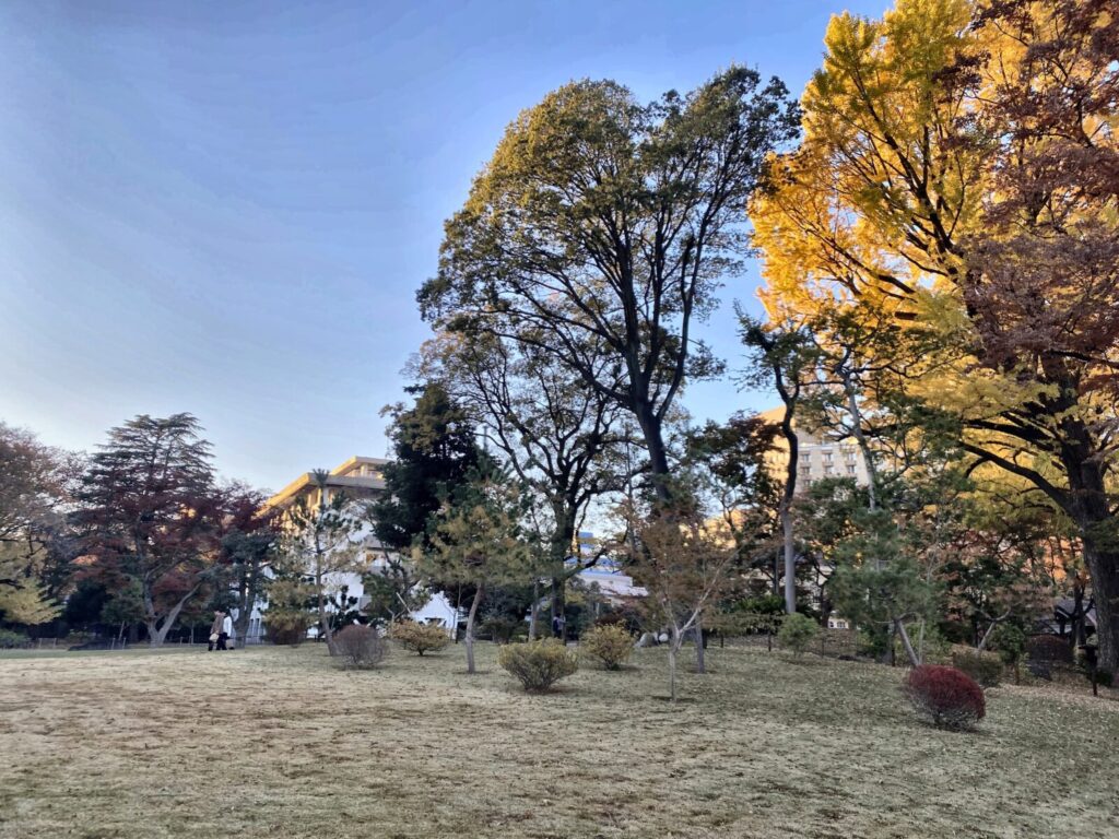 旧岩崎邸庭園の芝庭と紅葉