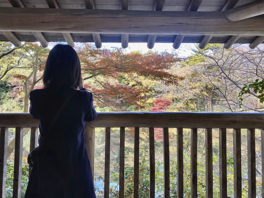 自然教育園の園内から紅葉を眺める参加者