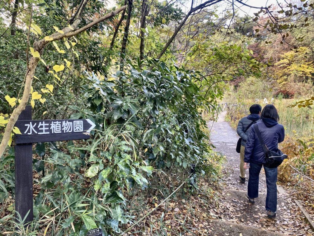 国立科学博物館附属自然教育園の水生植物園案内板
