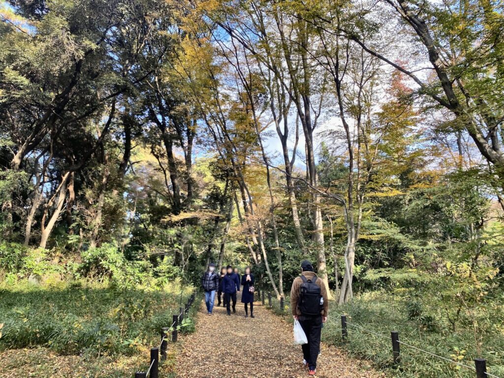 自然教育園の秋の森を歩く参加者たち