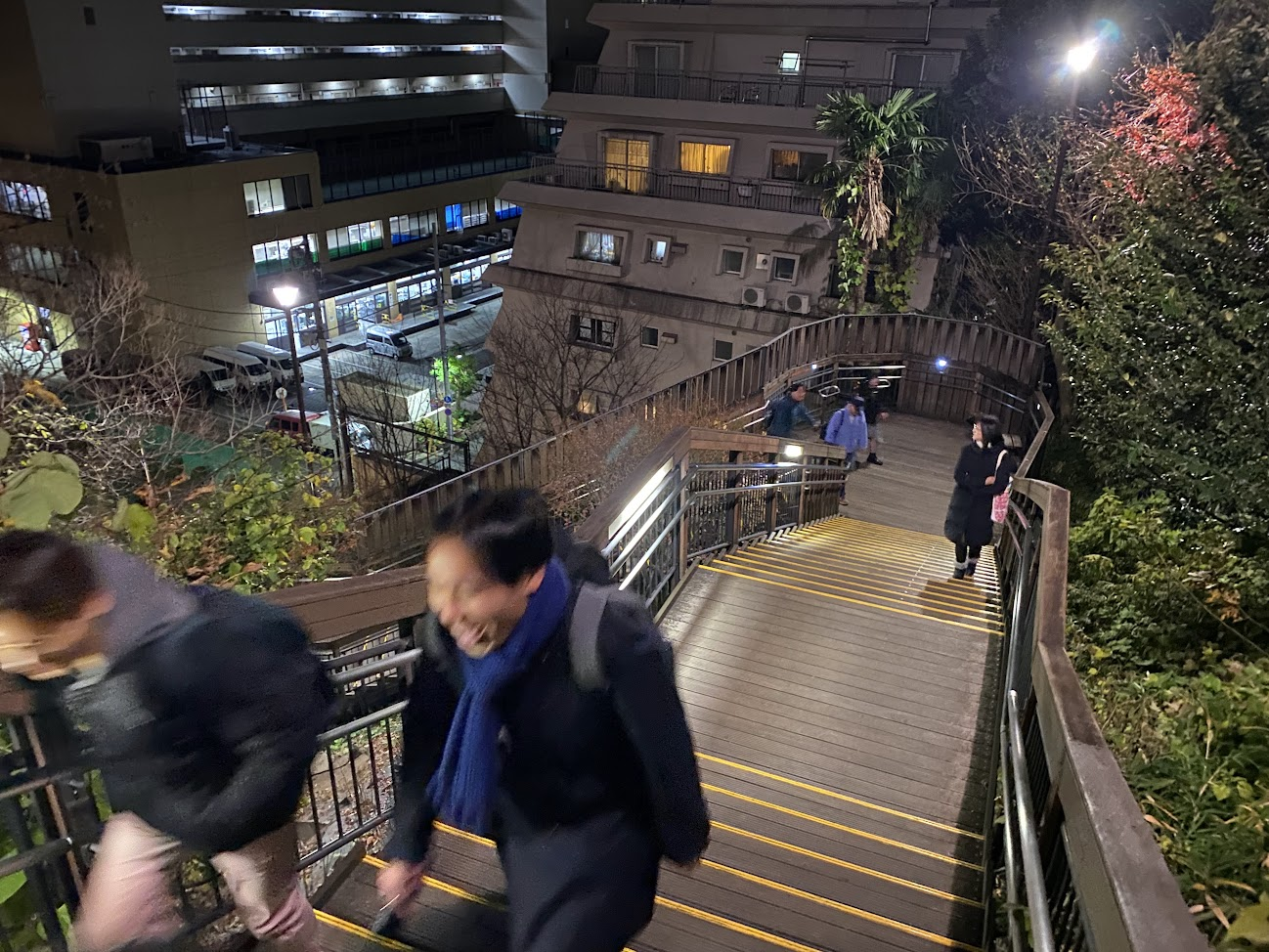 亀塚公園へ続く階段を上る歴史散歩参加者