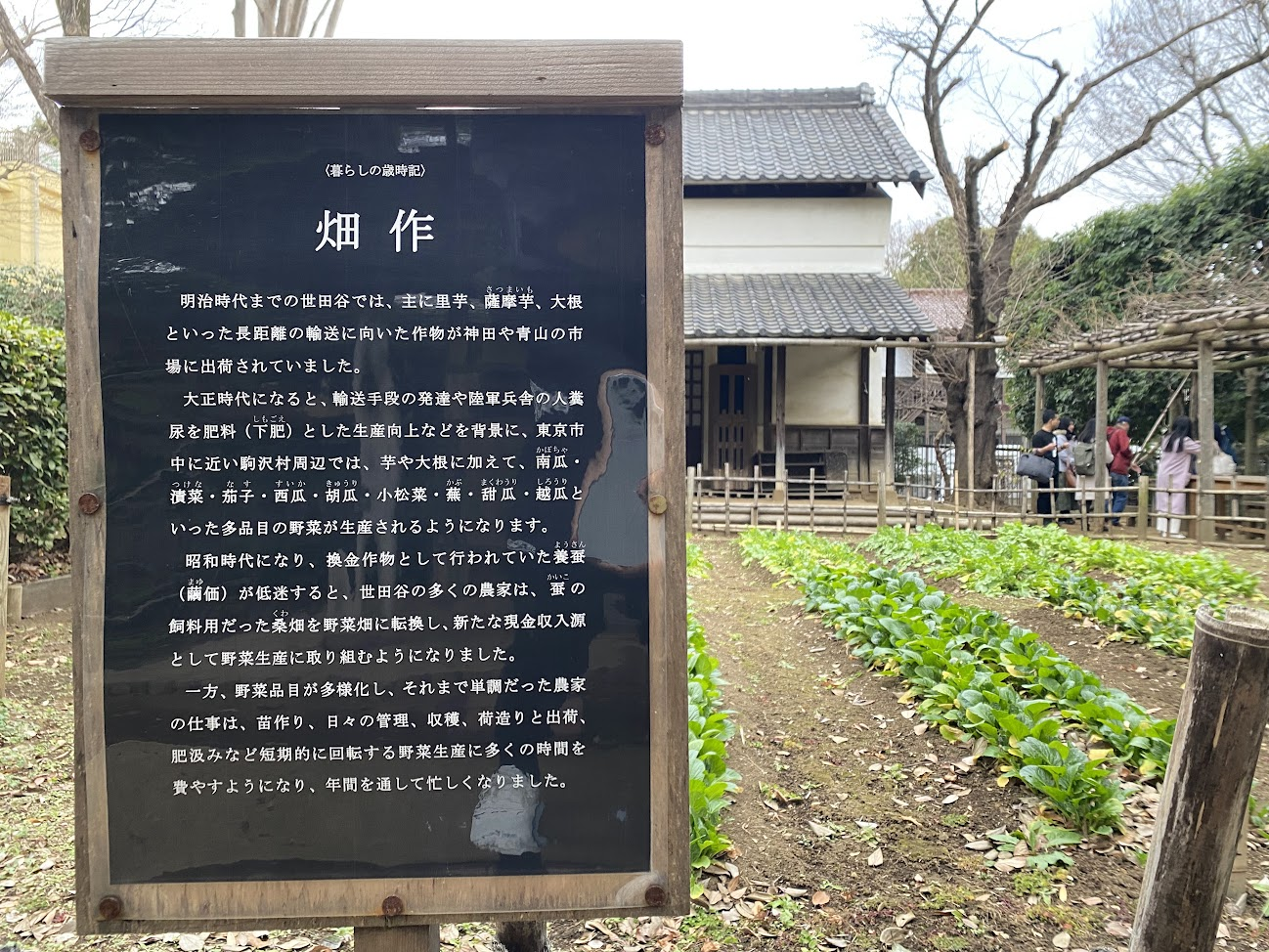 岡本公園民家園の畑作解説板と畑
