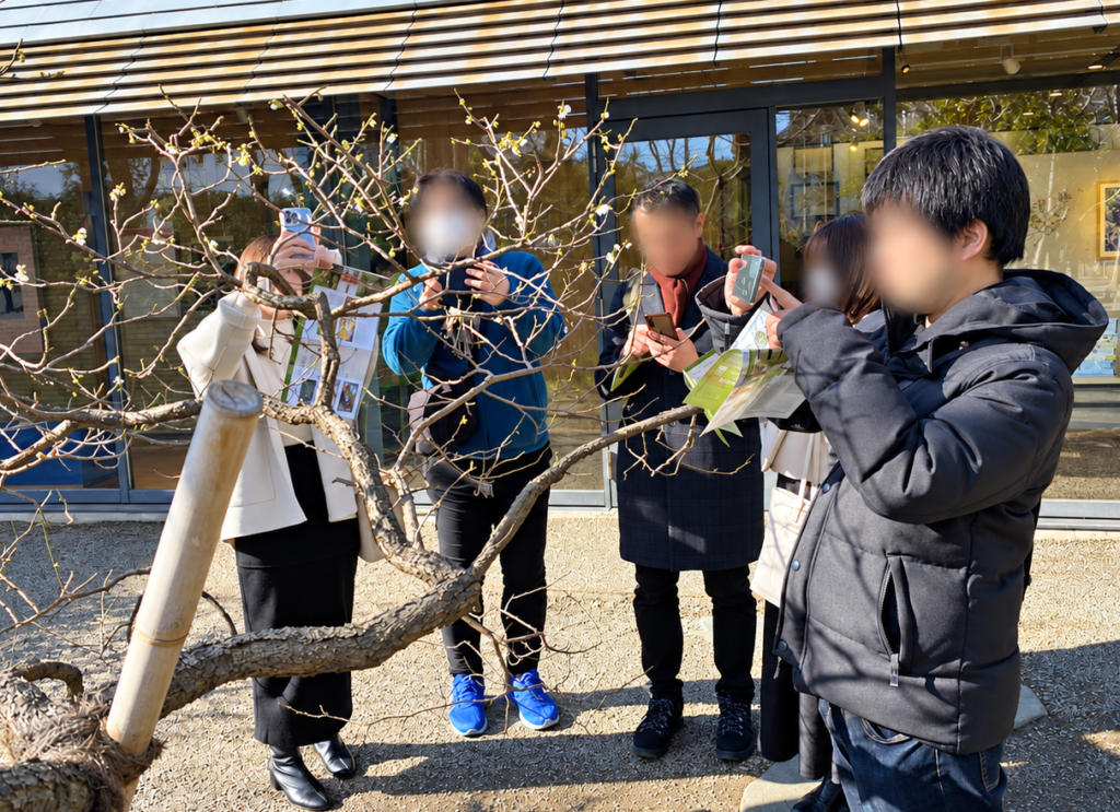 牧野記念庭園で植物を観察する参加者