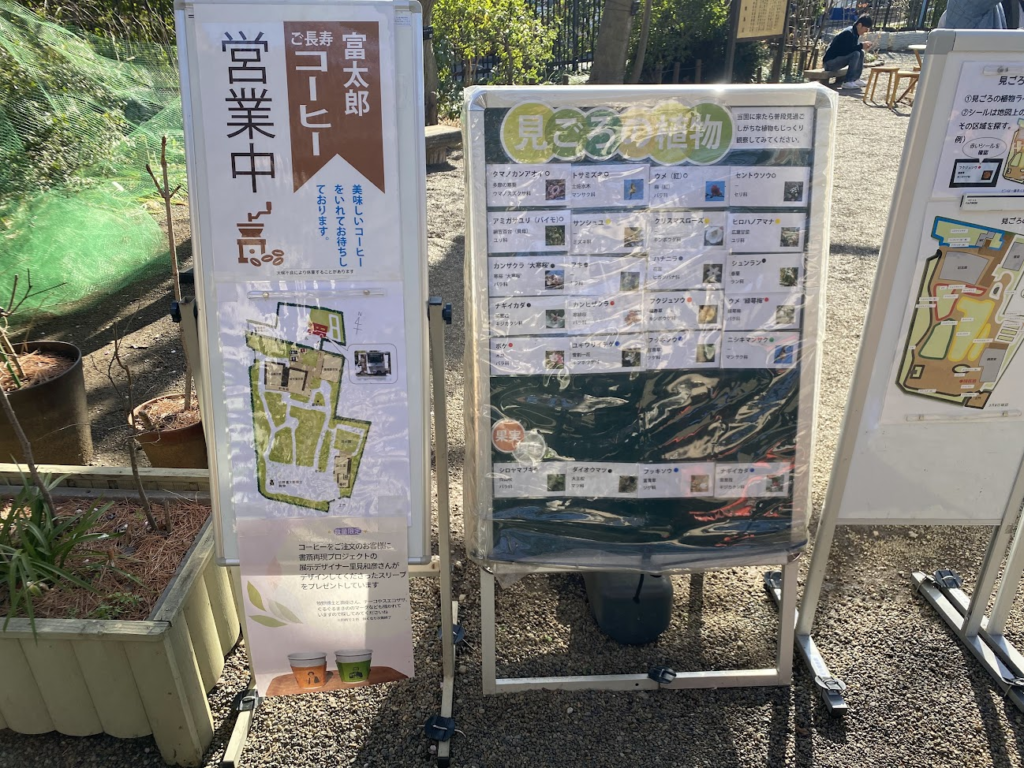 牧野記念庭園の見ごろ植物案内と富太郎コーヒー案内