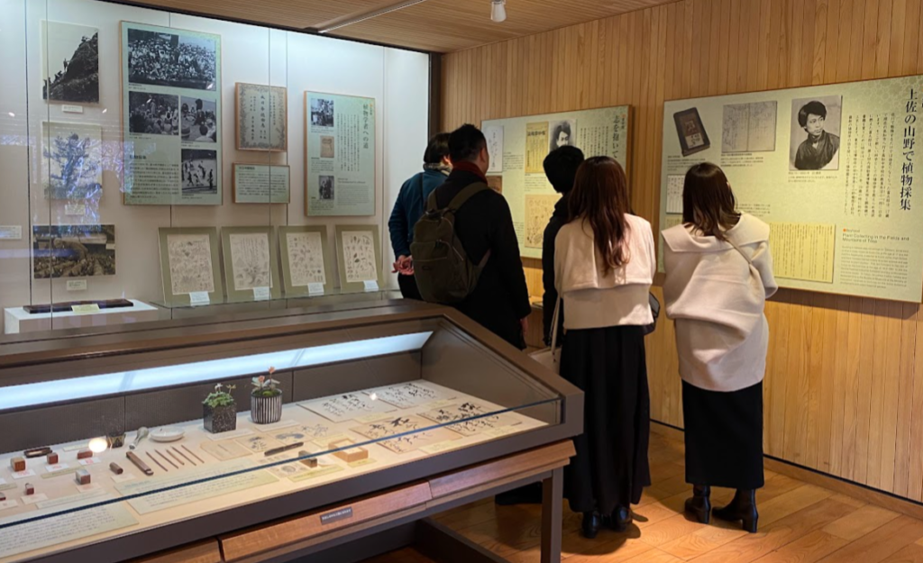 牧野記念庭園記念館の展示を見学する参加者