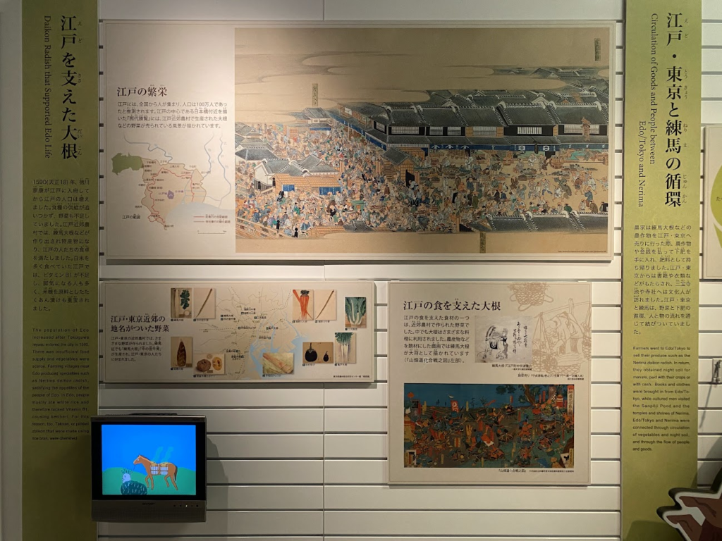練馬区立石神井公園ふるさと文化館の江戸と練馬に関する展示