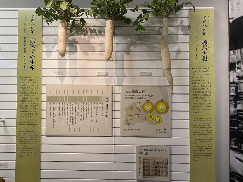 練馬区立石神井公園ふるさと文化館の練馬大根に関する展示