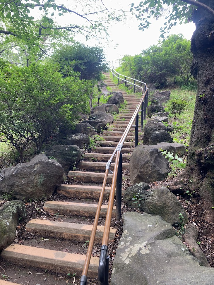 戸山公園の箱根山山頂へ続く登山道の階段