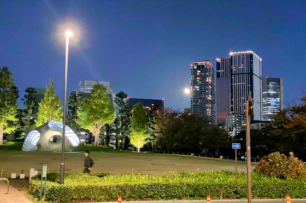 夜の東京ミッドタウン芝生広場と六本木の高層ビル群