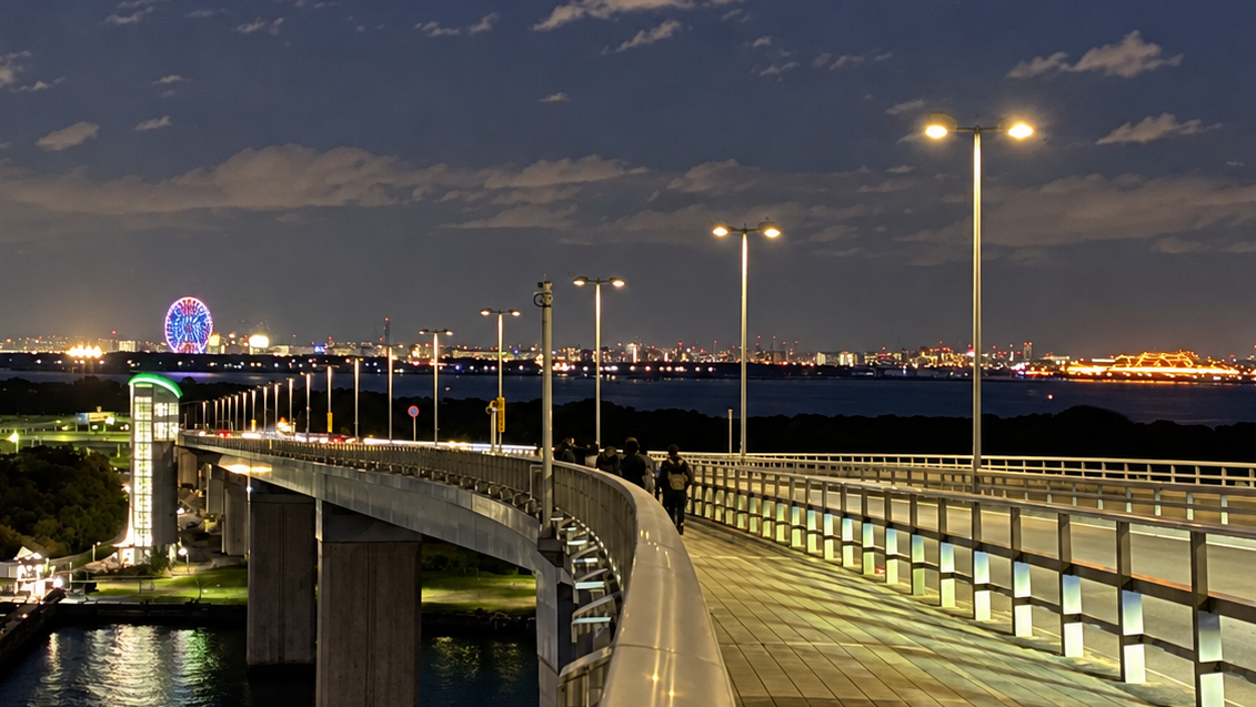 東京ゲートブリッジ夜景と葛西臨海公園の大観覧車方面