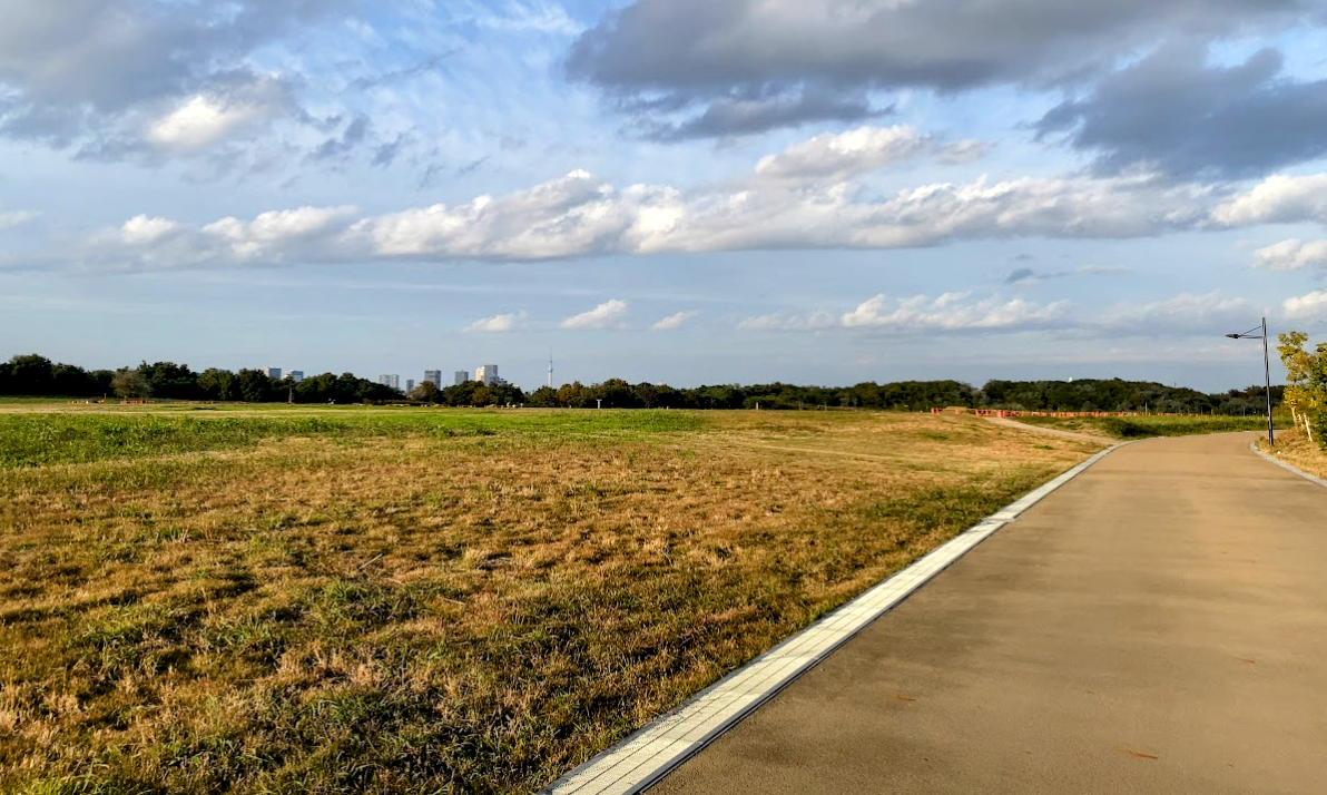海の森公園の広い草地と園路
