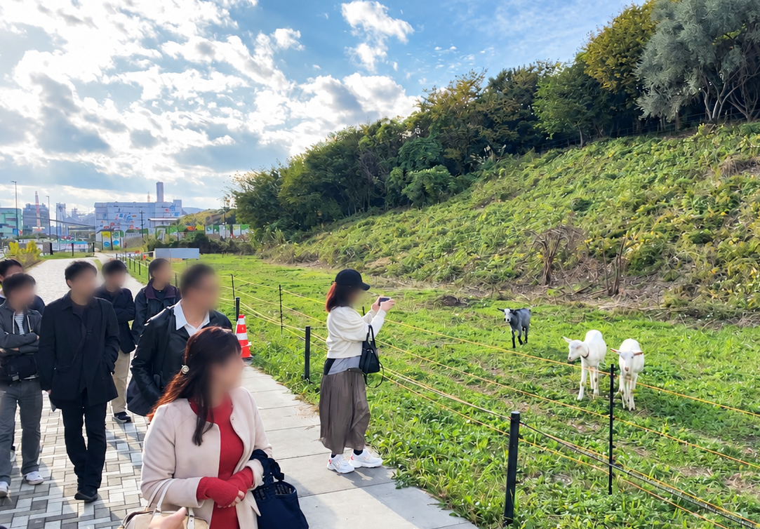 海の森公園の園路からヤギを見る参加者